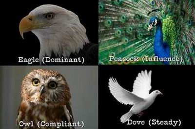 bird personality test