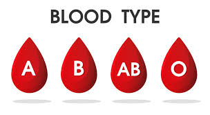 Personality Traits Based on Blood Type